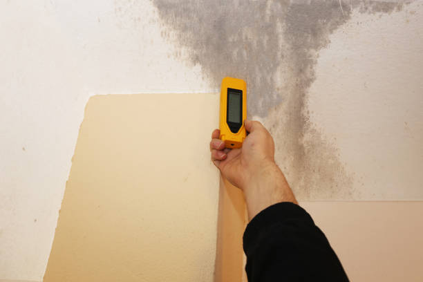 Best Mold Prevention Services  in Wfield, IN