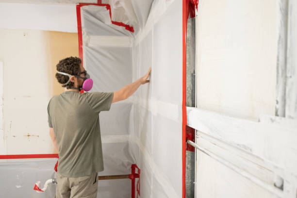 Best Mold Remediation for Healthcare Facilities  in Wfield, IN