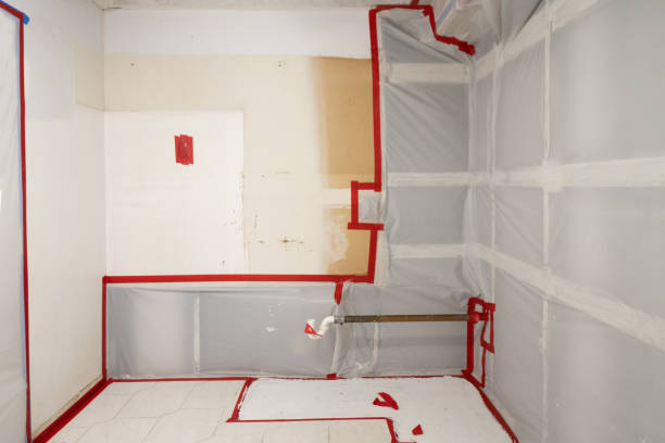 Mold Remediation for Rental Properties in Winfield, IN