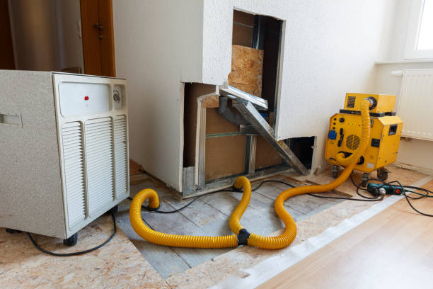 Best HVAC Mold Inspection and Cleaning  in Wfield, IN