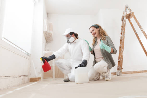 Best Environmental Consulting for Mold Prevention  in Wfield, IN